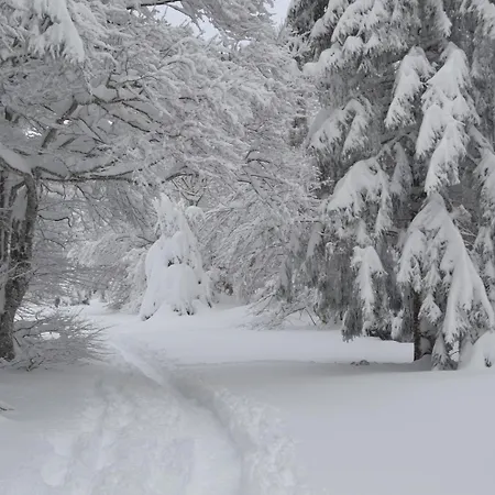 Lejlighed Lo Pastre - Luxueux T2 Laguiole