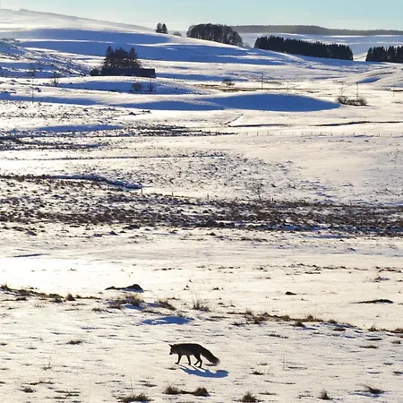 Lo Pastre - Luxueux T2 * Laguiole