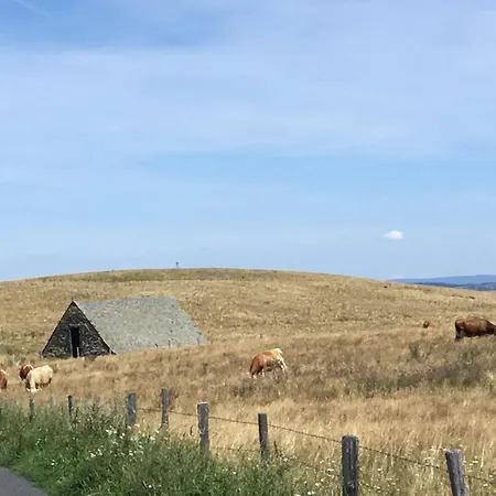 Lejlighed Lo Pastre - Luxueux T2 Laguiole